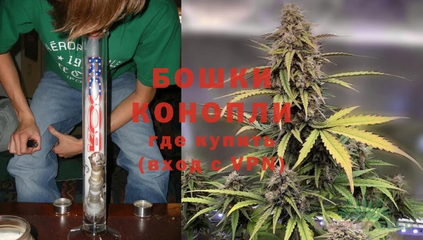 марки lsd Бородино