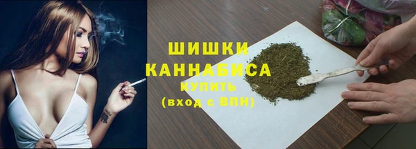 шишки Верхний Тагил