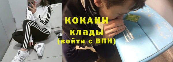 шишки Верхний Тагил