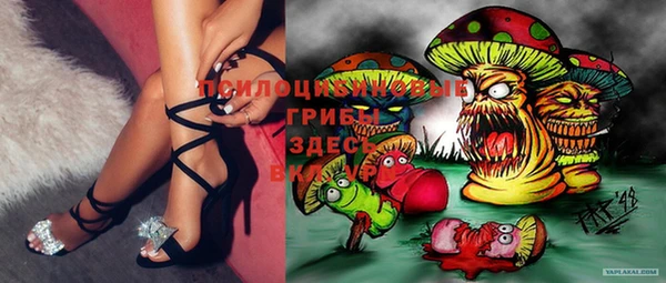 шишки Верхний Тагил