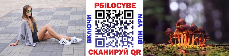 Псилоцибиновые грибы ЛСД  сайты даркнета формула  Будённовск 