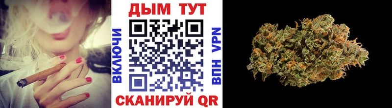 kraken маркетплейс  Будённовск  Марихуана план 